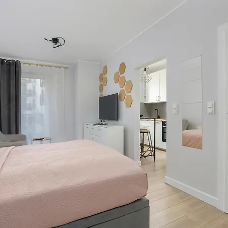 Stylish & Comfy Garbary With Parking By Renters Apartment Posen