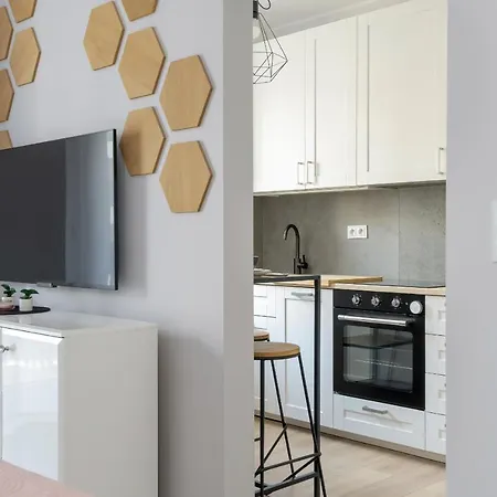 Apartment Stylish & Comfy Garbary With Parking By Renters *