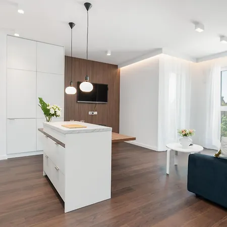 Stylish & Comfy Garbary With Parking By Renters Apartment Posen