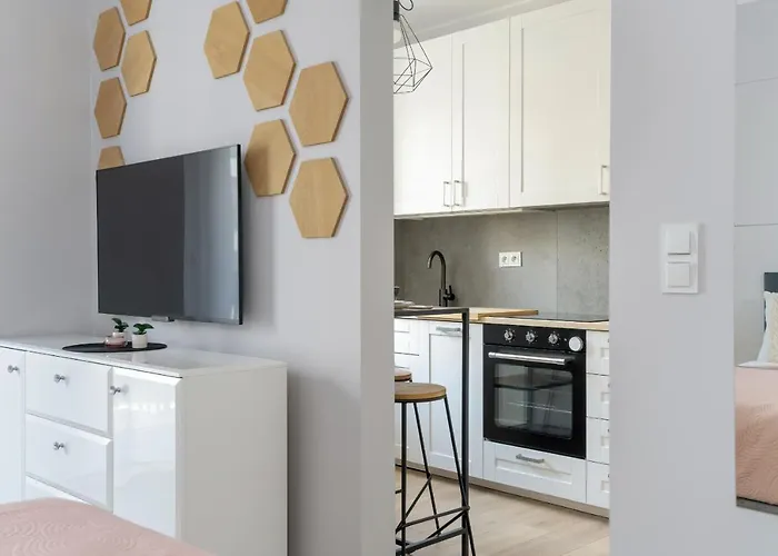 Appartement Stylish & Comfy Garbary With Parking By Renters *